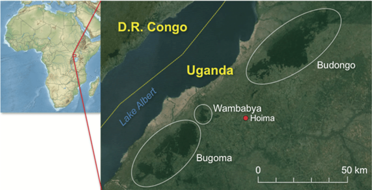 Map of Africa, map of Uganda, map of Bugoma forest, Wambabya forest, Budongo forest and Lake Albert