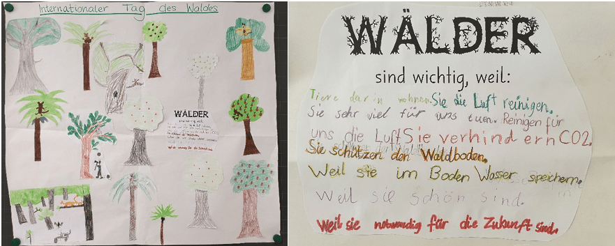 Die Kinder der 3. Klasse des Schulhauses Töss in Richterswil haben zum Tag des Waldes die Wichtigkeit des Waldes besprochen und ein tolles Gemeinschaftsbild zum Thema Wald erstellt