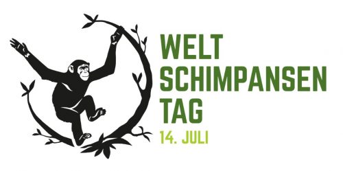 Weltschimpansentag JGI Schweiz